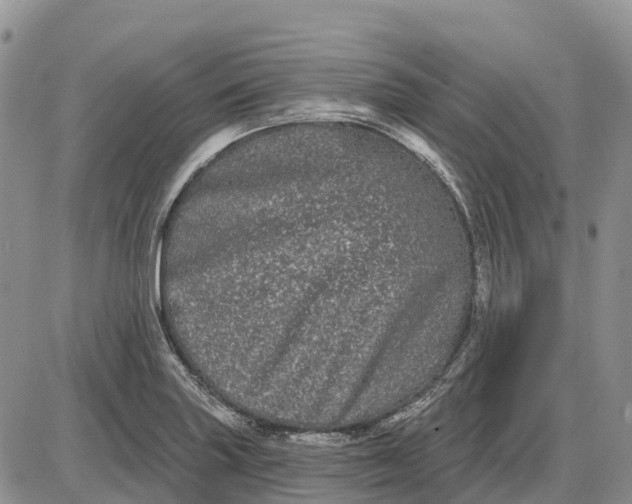 X0000085041227200703191224