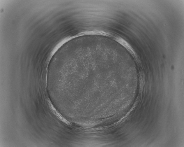 X0000085041228200703191224