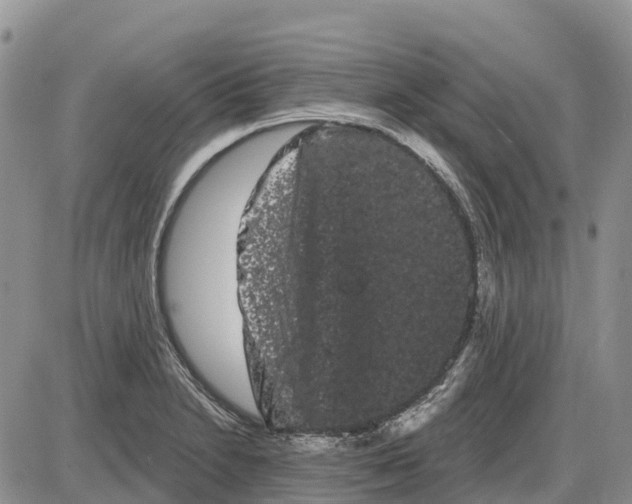 X0000085041230200703191225