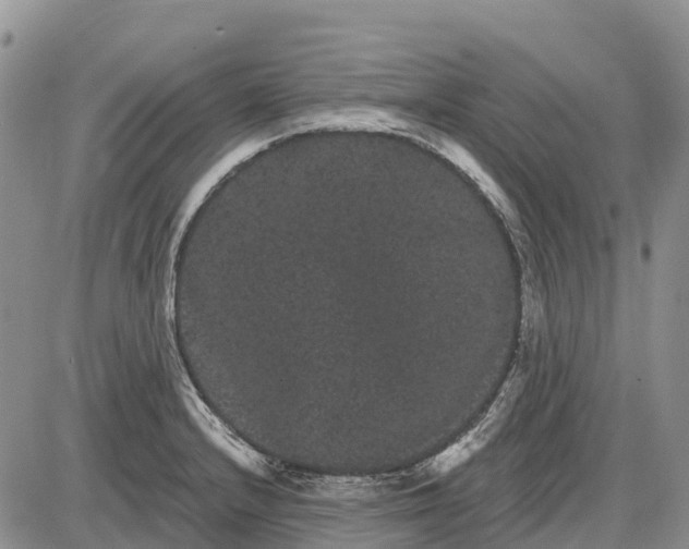 X0000085041232200703191225