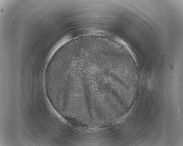 X0000085041235200703191225