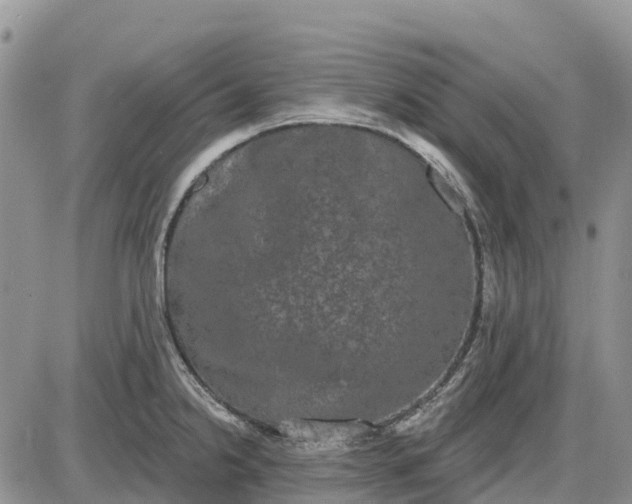 X0000085041238200703191225