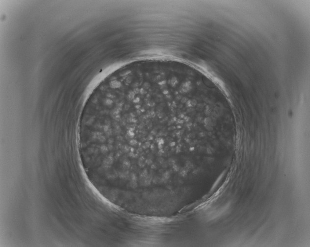 X0000085041239200703191225