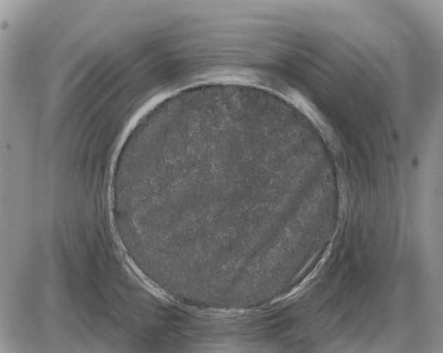 X0000085041240200703191225