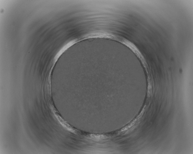 X0000085041242200703191225