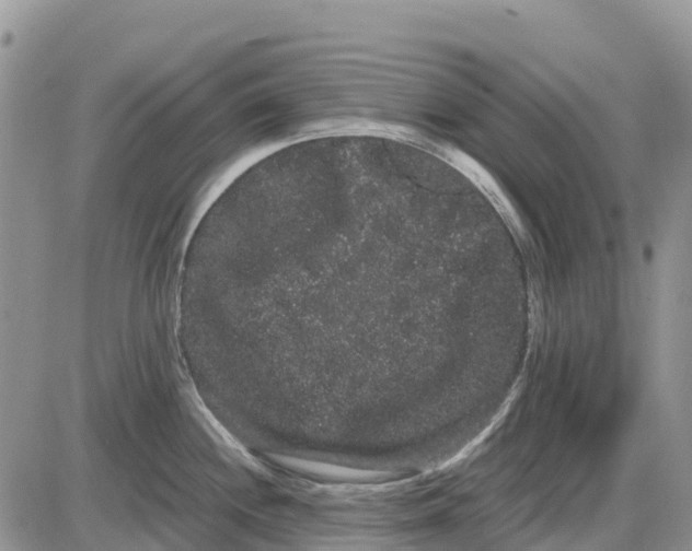 X0000085041244200703191225