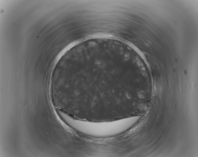 X0000085041245200703191225