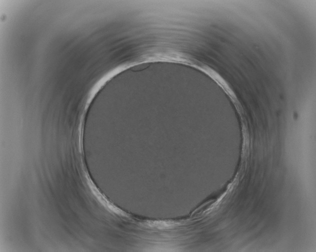 X0000085041246200703191225