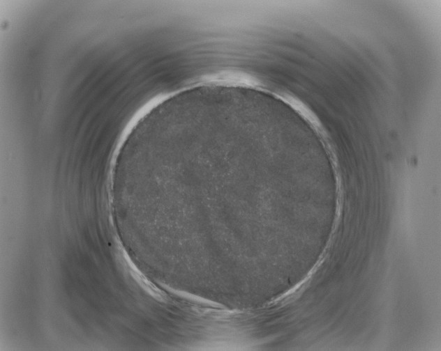 X0000085041248200703191225