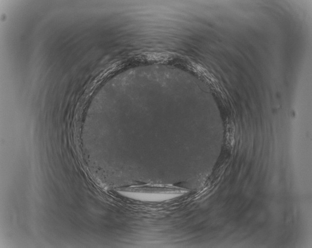 X0000085041249200703191224