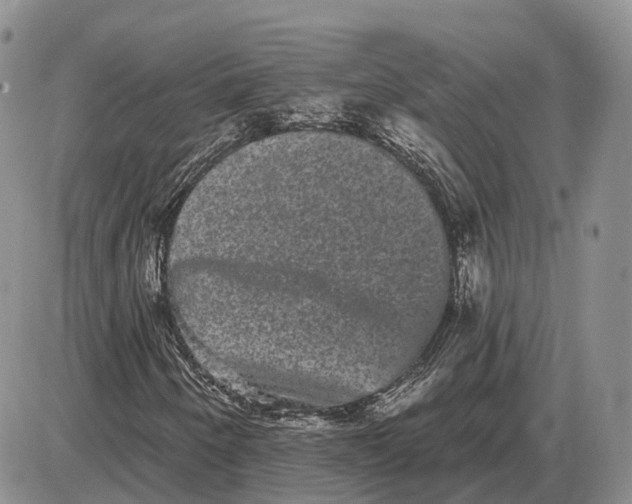 X0000085041250200703191224