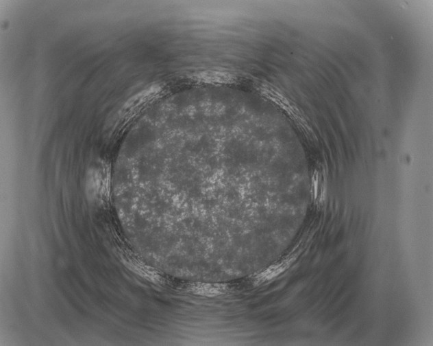 X0000085041251200703191224