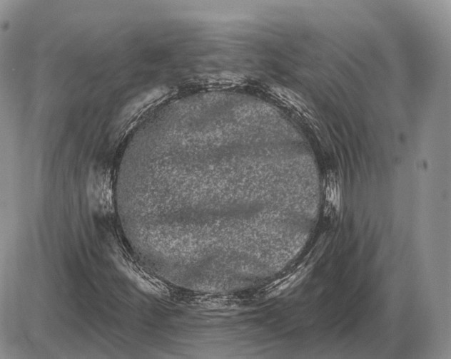 X0000085041252200703191224