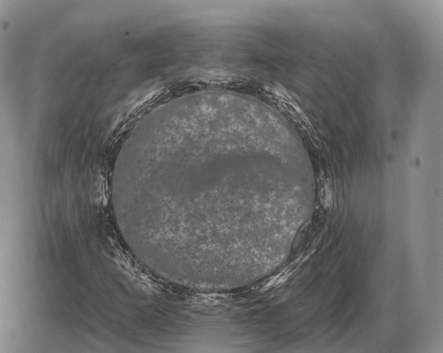 X0000085041253200703191224