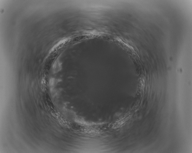 X0000085041254200703191224