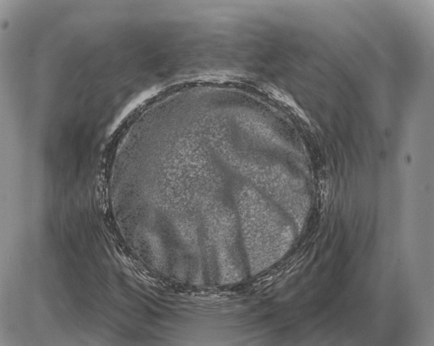 X0000085041256200703191224