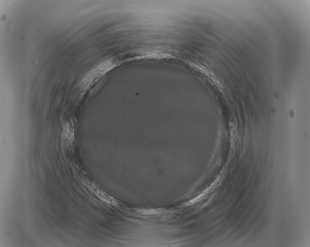 X0000085041257200703191224