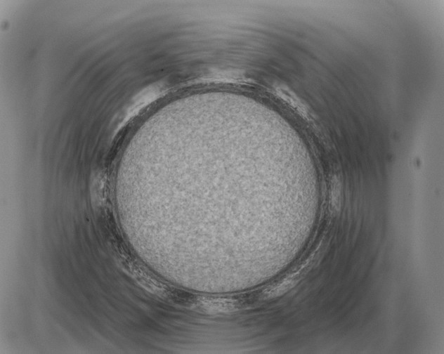 X0000085041258200703191224