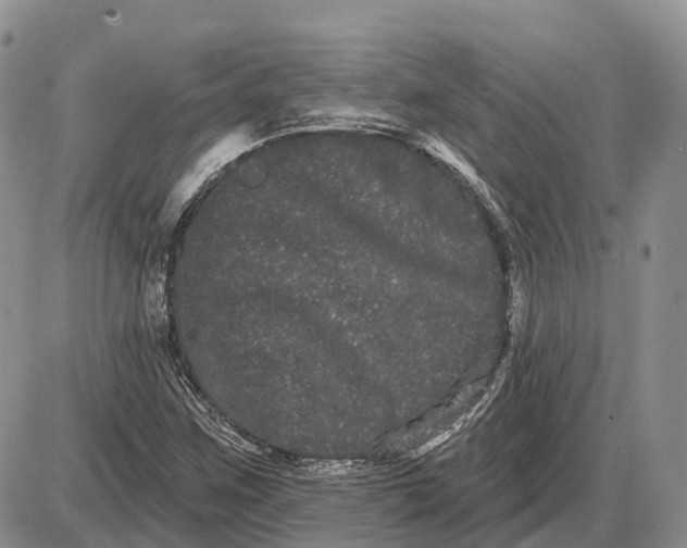 X0000085041259200703191224