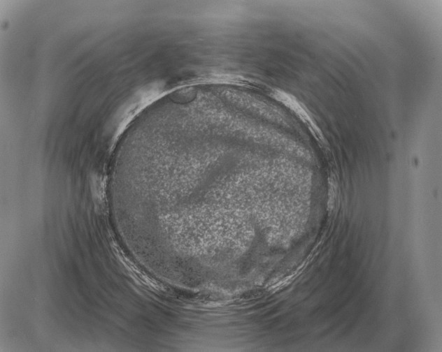 X0000085041260200703191224