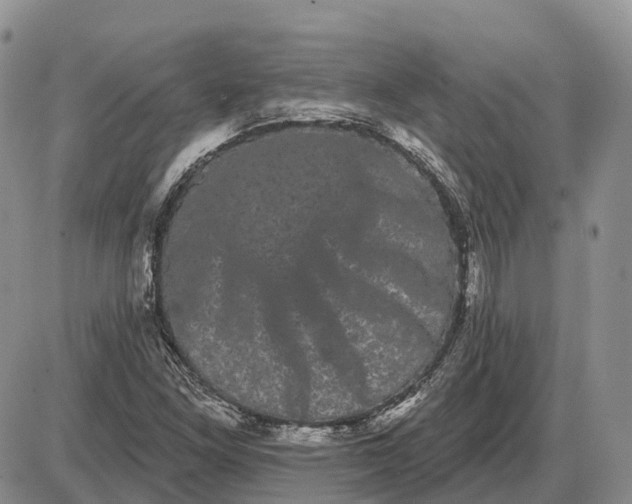 X0000085041261200703191224