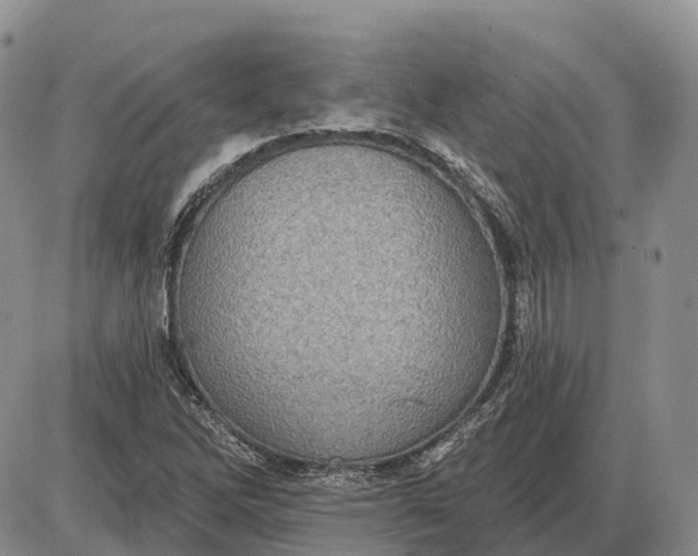 X0000085041262200703191224