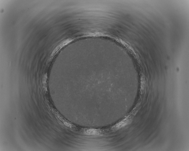 X0000085041265200703191224