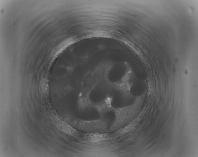 X0000085041266200703191224