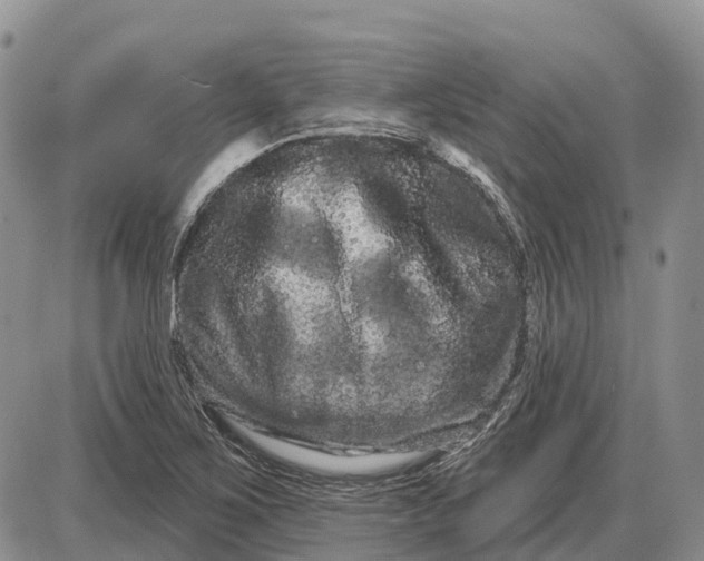 X0000085041267200703191224