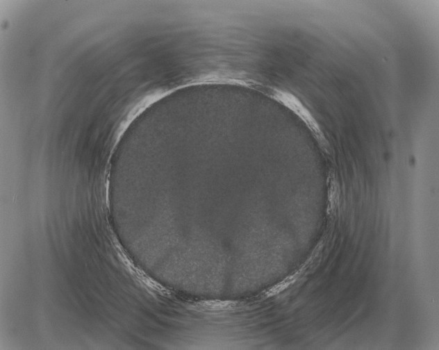 X0000085041268200703191224