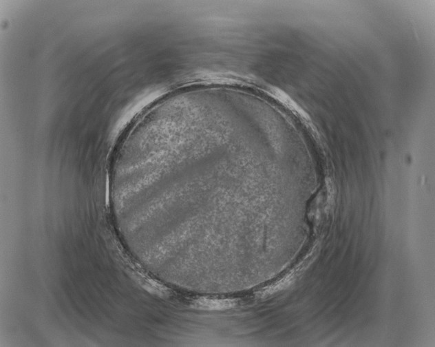 X0000085041269200703191224