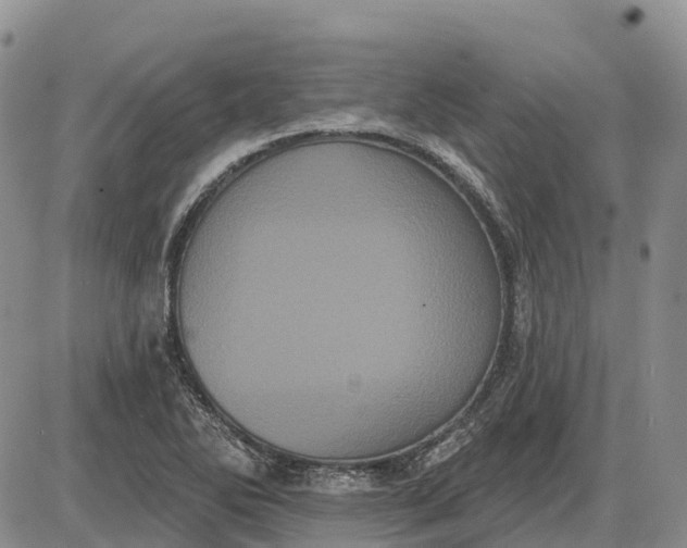 X0000085041270200703191224