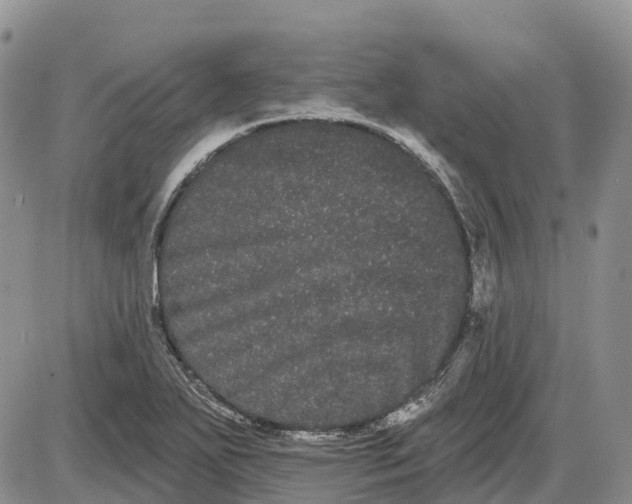 X0000085041271200703191224