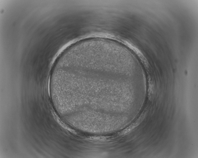 X0000085041272200703191224