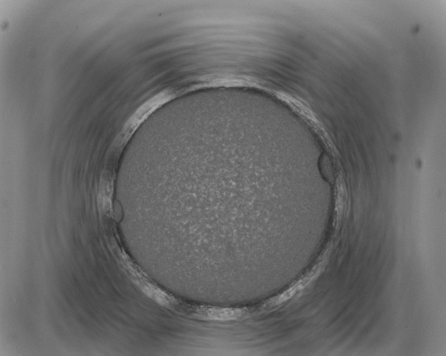 X0000085041273200703191224