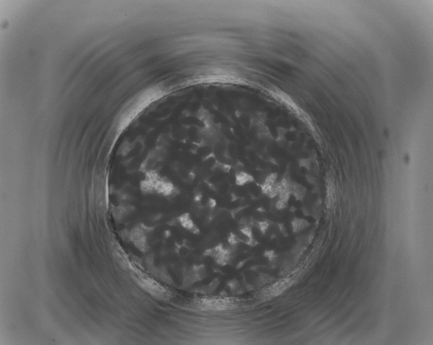 X0000085041274200703191224