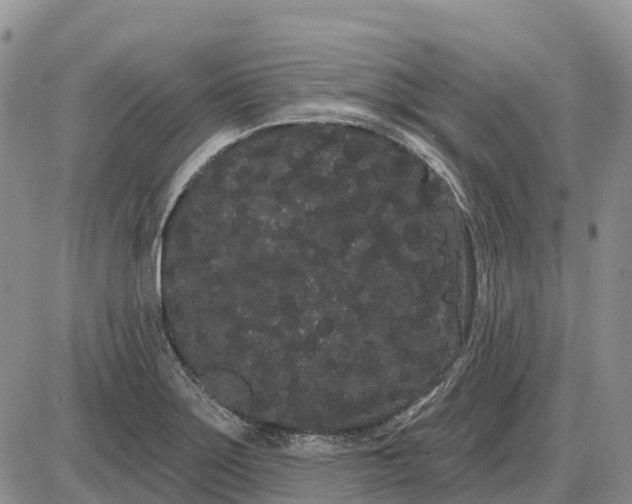 X0000085041275200703191224