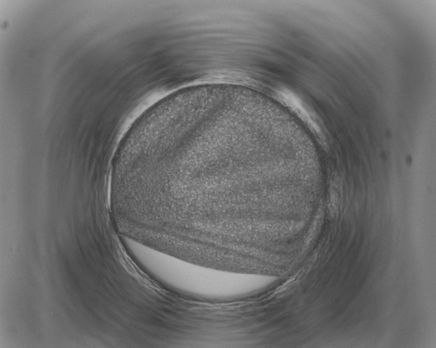 X0000085041276200703191224