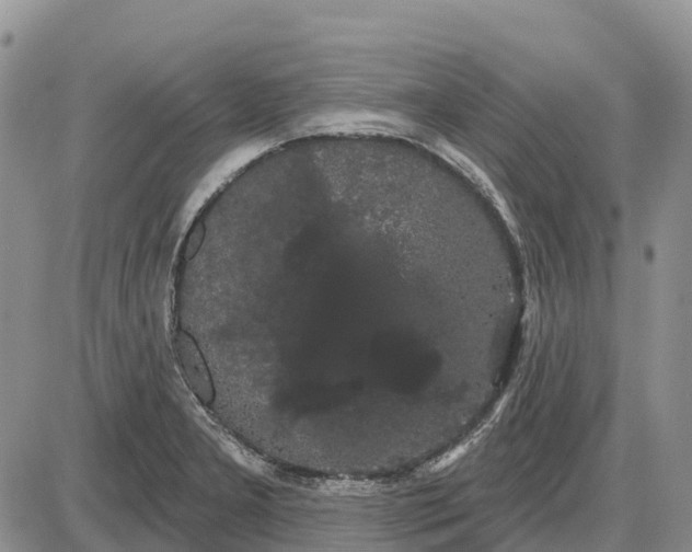 X0000085041277200703191224