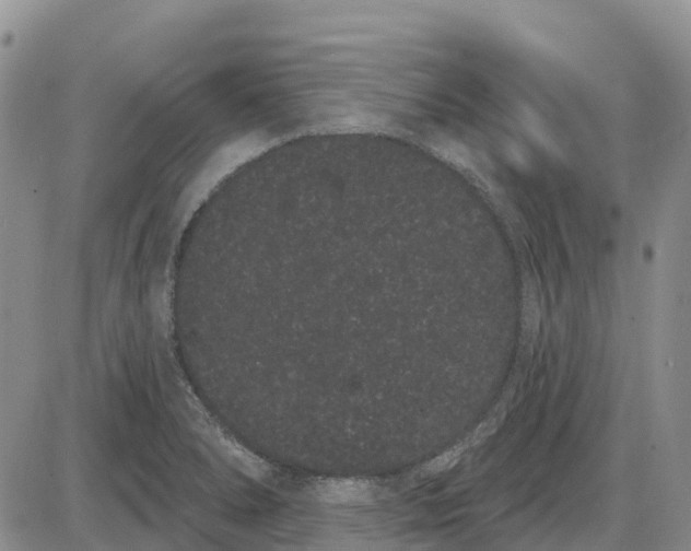 X0000085041278200703191224