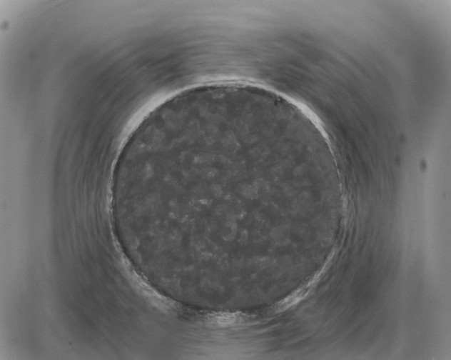 X0000085041279200703191224