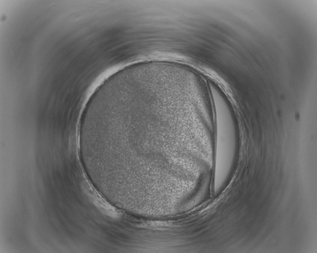 X0000085041280200703191224