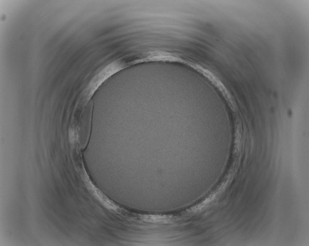 X0000085041281200703191223