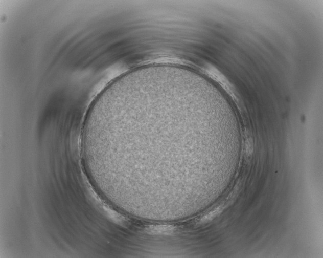 X0000085041282200703191223