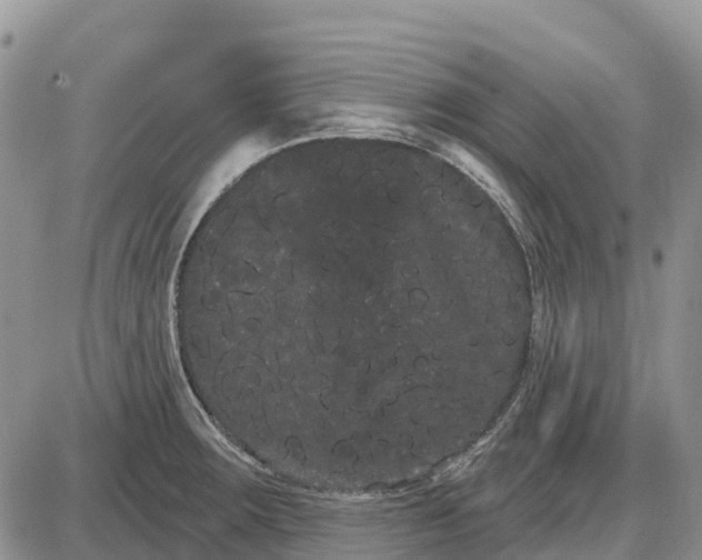 X0000085041283200703191223