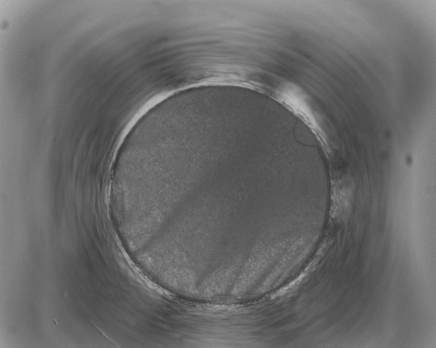 X0000085041284200703191223