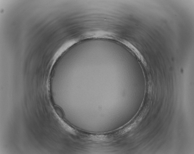 X0000085041285200703191223