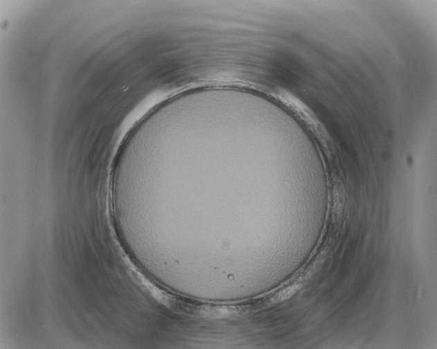 X0000085041286200703191223