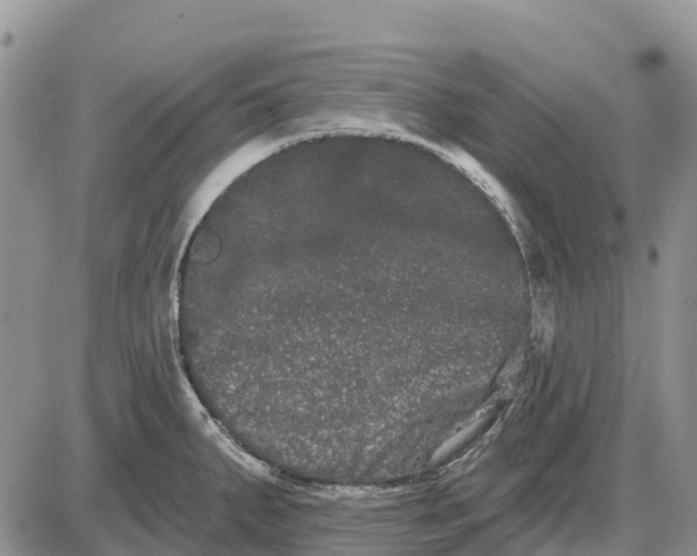 X0000085041287200703191223