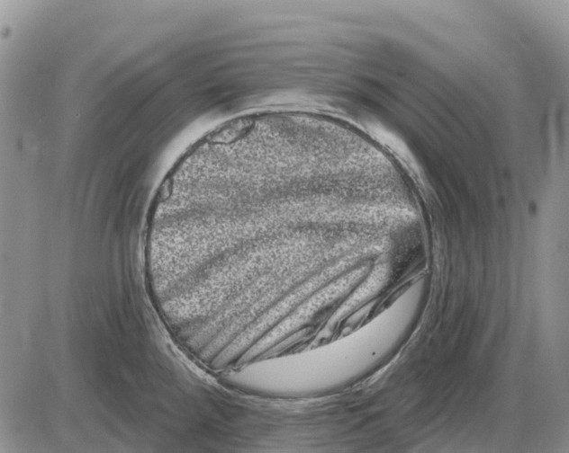 X0000085041288200703191223